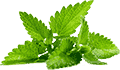 网站攻击源码